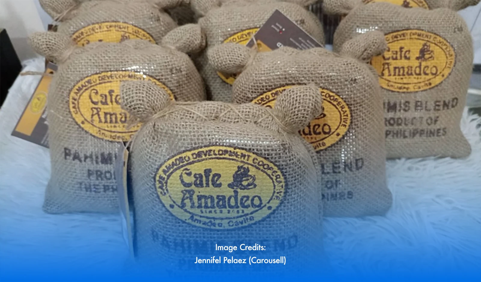 Sowing Resilience: Amadeo's Coffee Production Journey