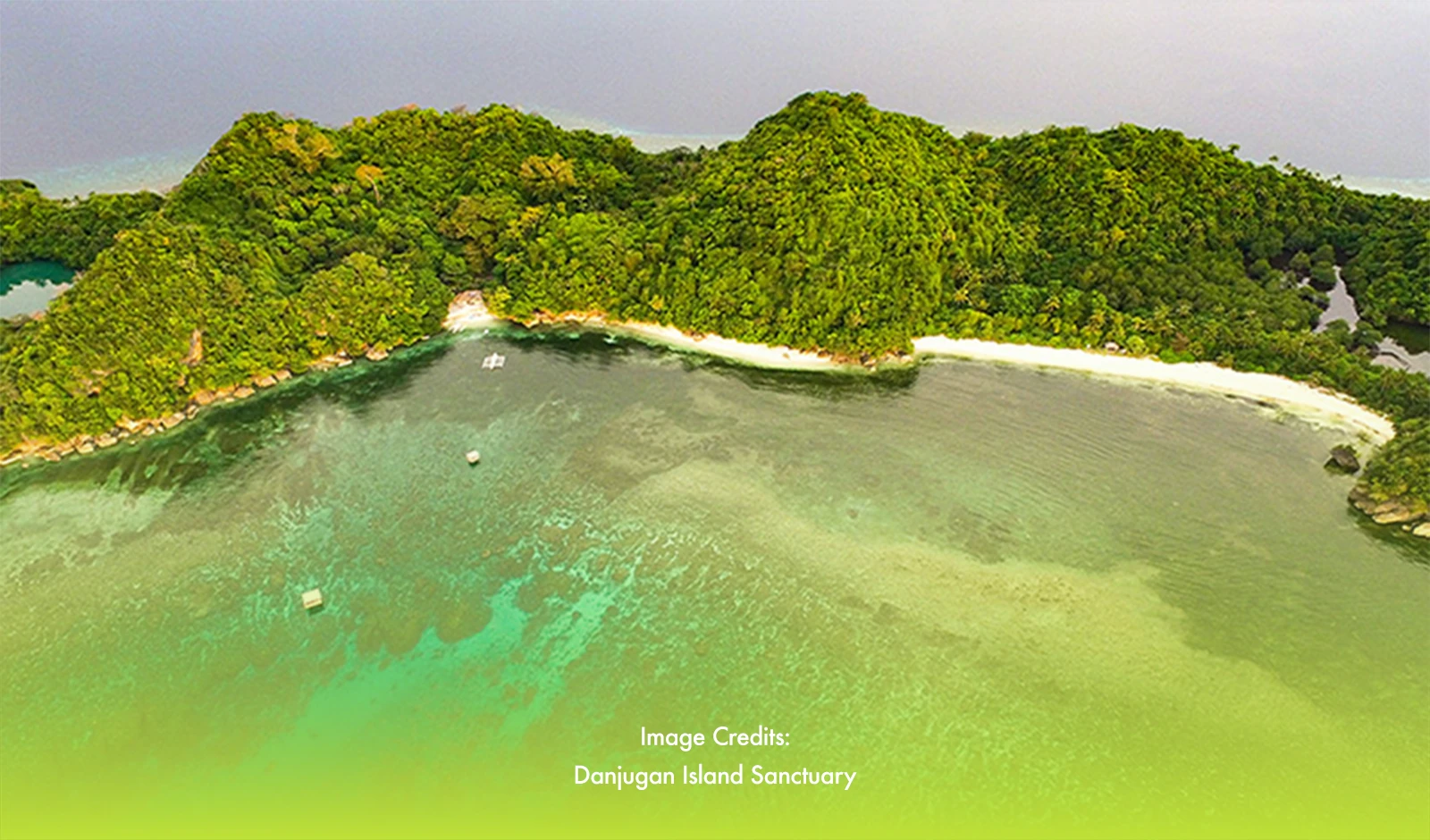 Danjugan Island: An Ecological Paradise in Negros Occidental