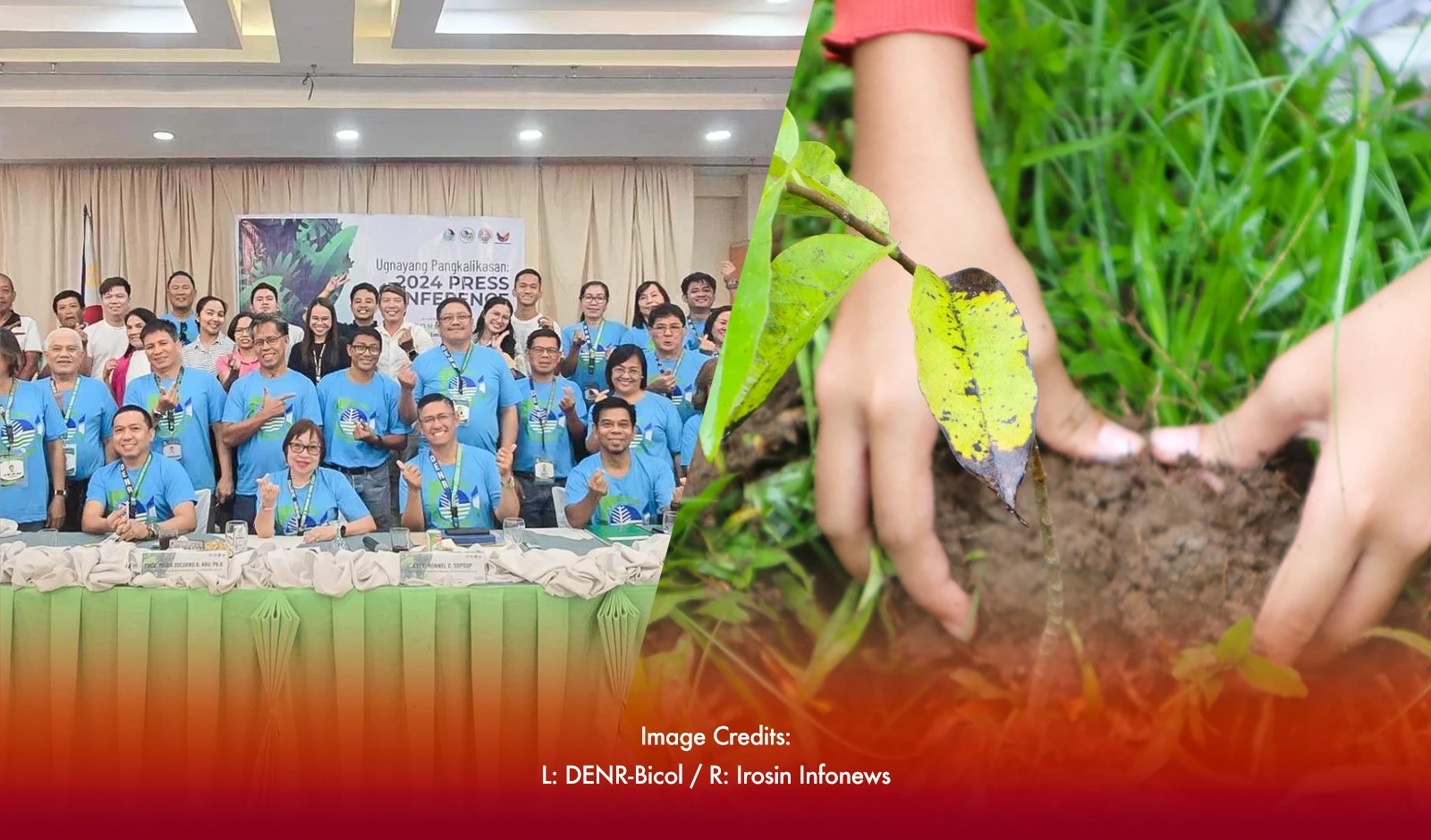 DENR-Bicol Targets 3.5 Million Seedlings To Be Planted This Year 