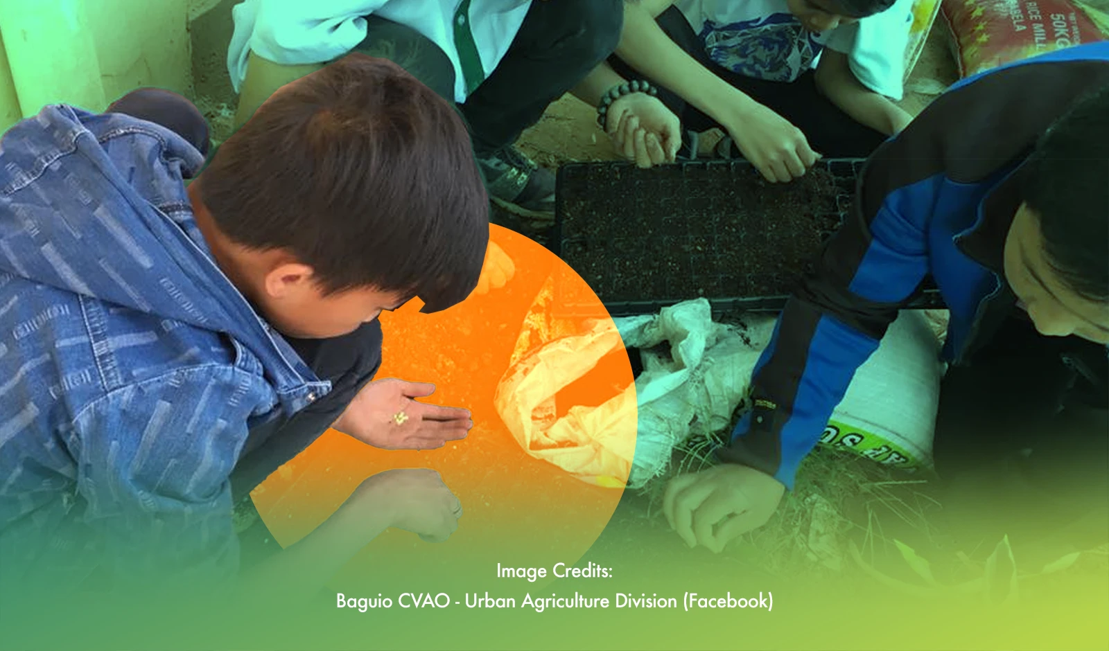 Urban Agri Now Part Of Four Baguio Schools Curriculum