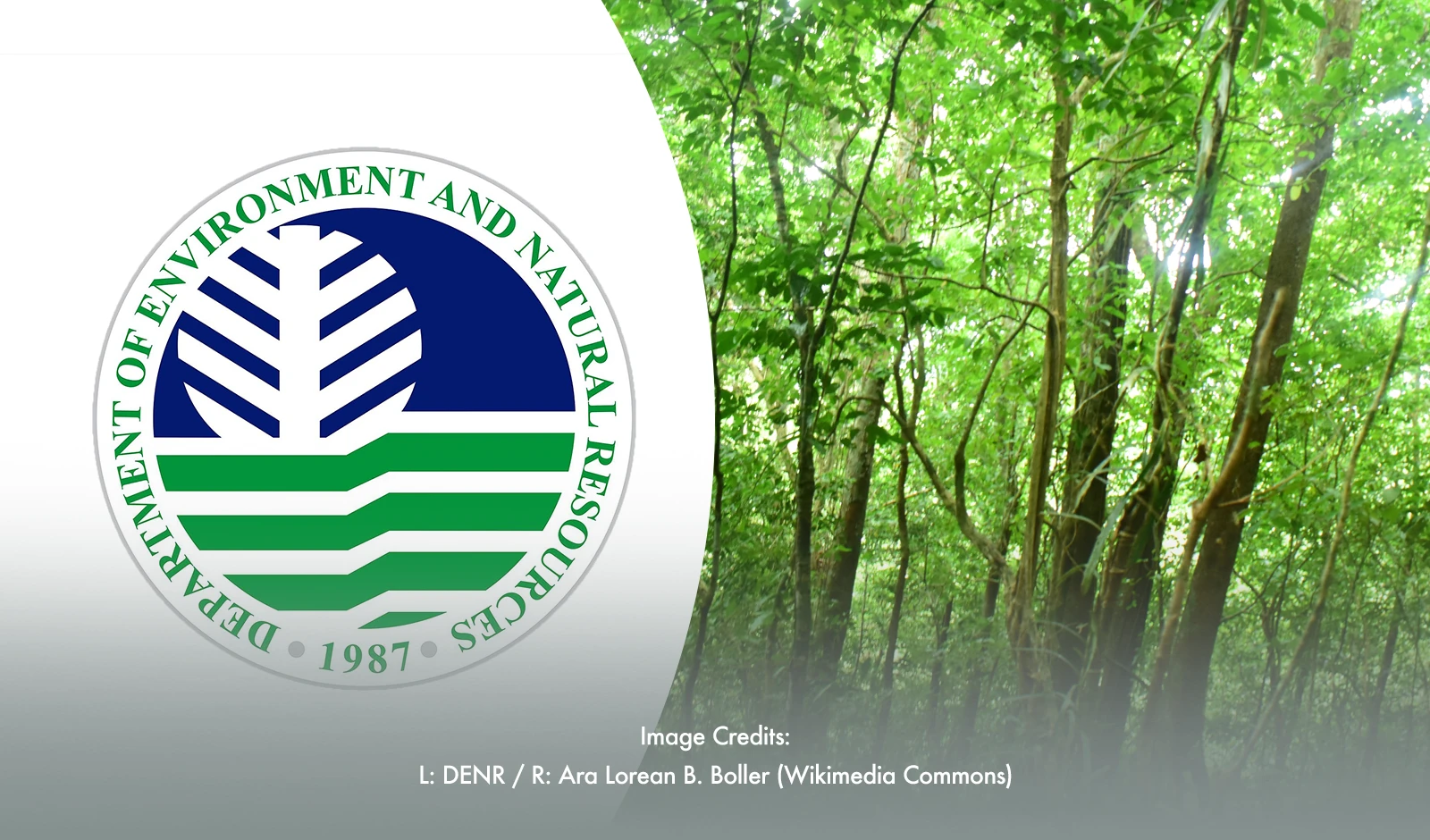 New DENR Task Force Aims To Protect Eastern Visayas Biodiversity