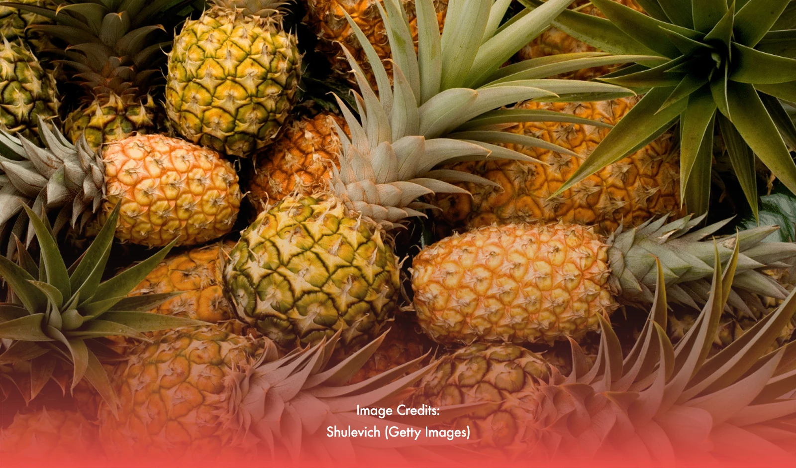 PH Secures Its Place as World's Second-Largest Pineapple Exporter