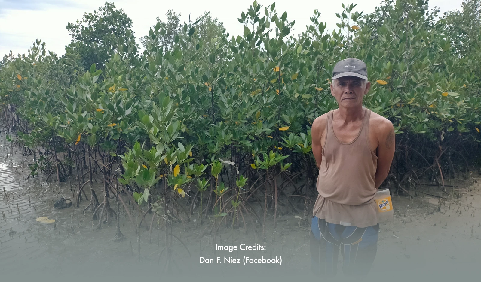 How a Yolanda Survivor Planted Hope Through Mangrove Forest