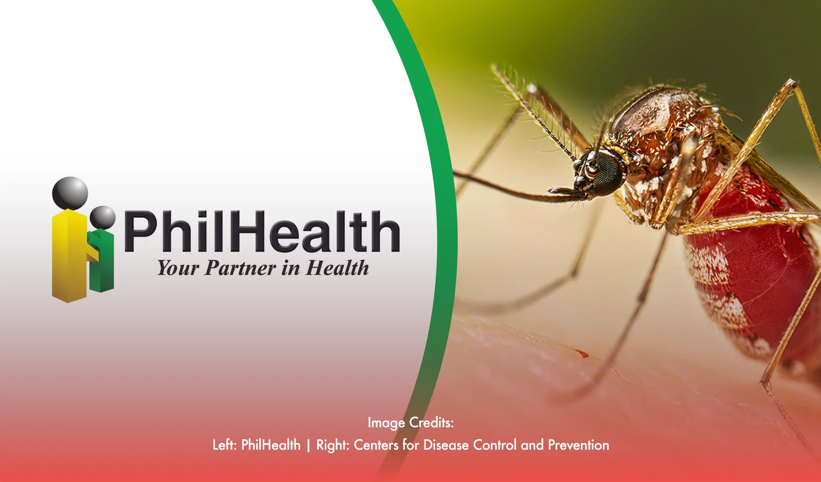 PhilHealth Boosts Severe Dengue Benefit Package Amid Surge in Cases