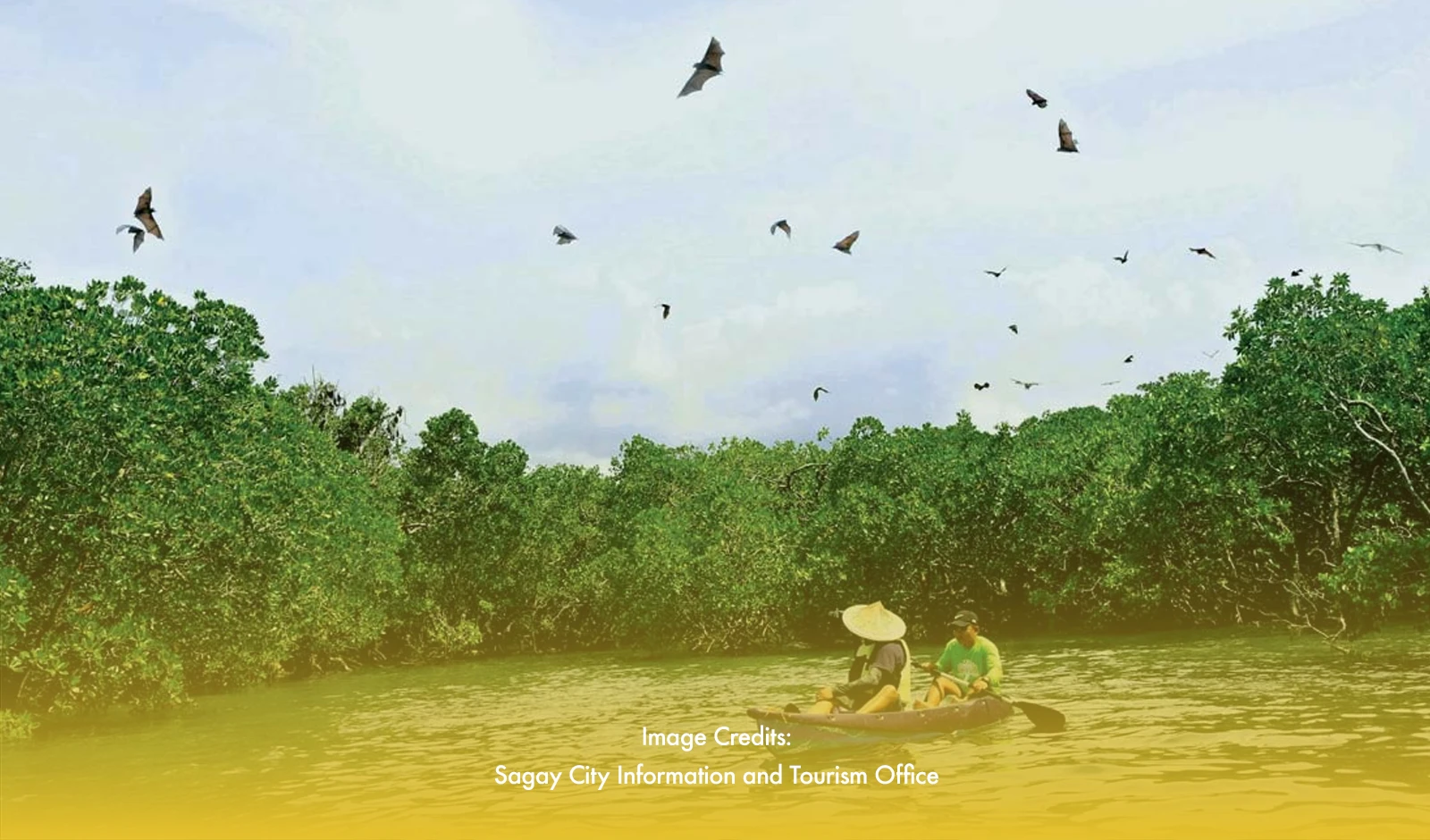 Suyac Island Mangrove Eco-Park Wins 2025 ASEAN Tourism Award