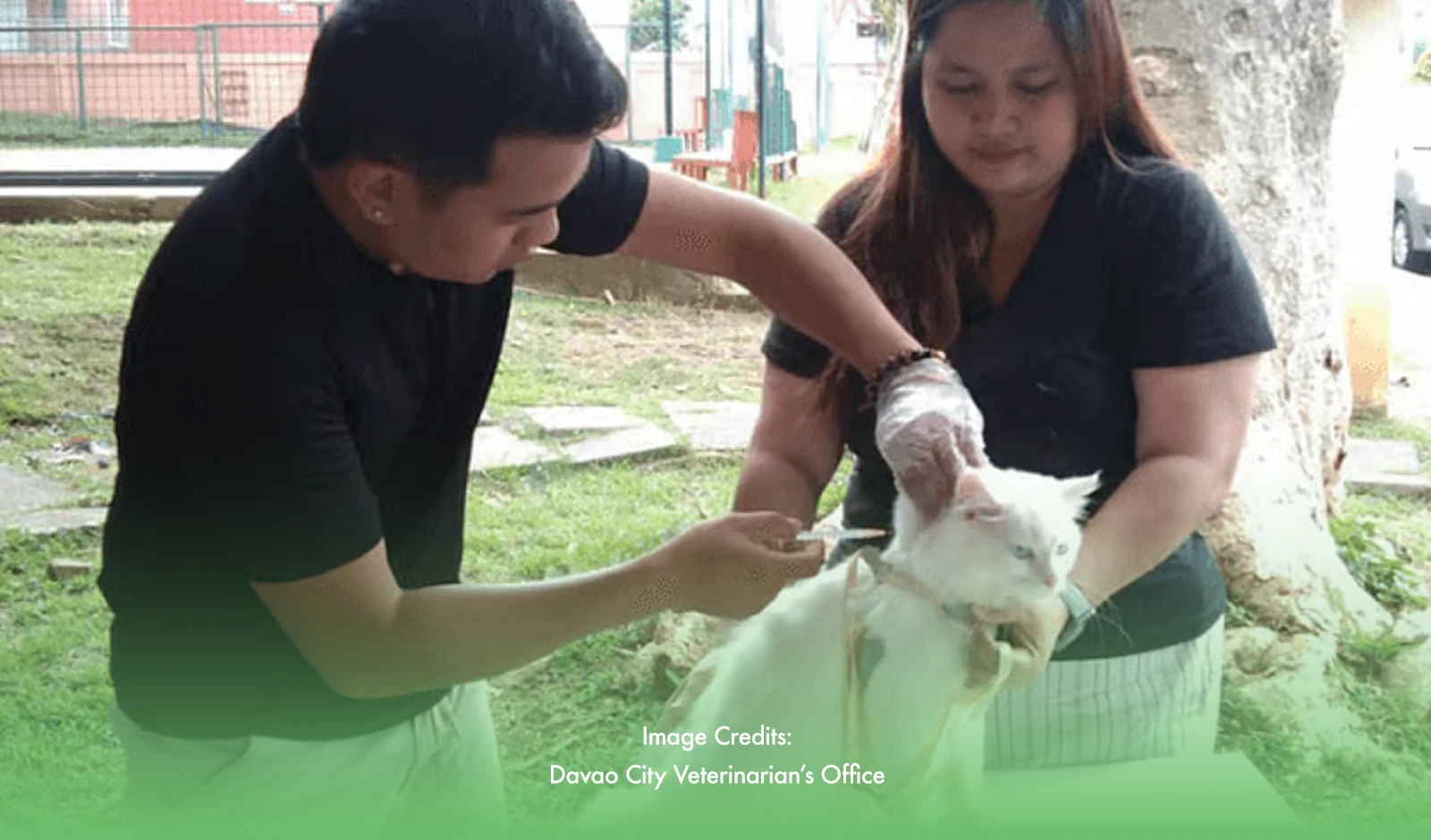 Rising Rabies Deaths In Davao Amid Vaccine Shortages