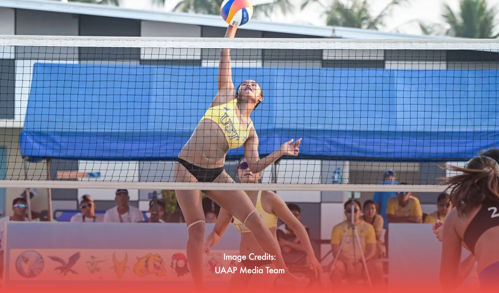 NU, UST Share UAAP Junior Beach Volleyball Titles