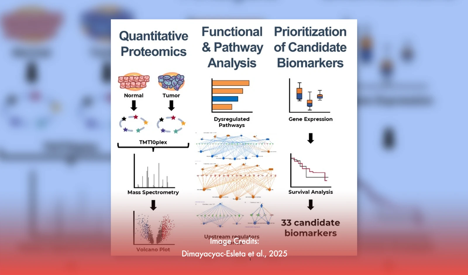 New Biomarkers Identified For Early Lung Cancer Detection
