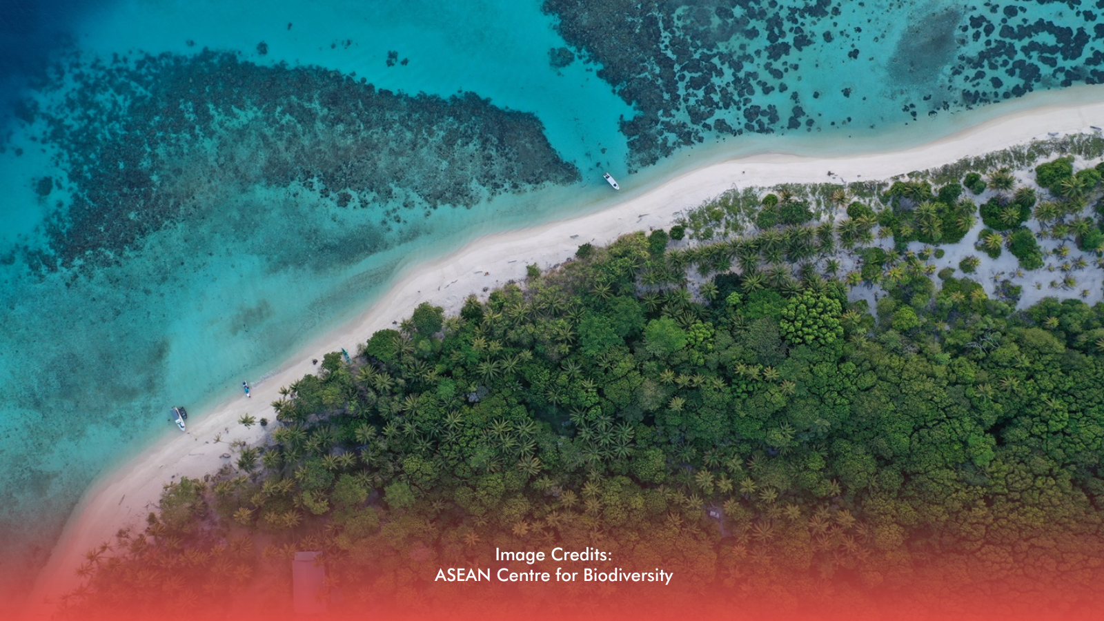 Discover Taganak: Tawi-Tawi’s Eco-Tourism Frontier