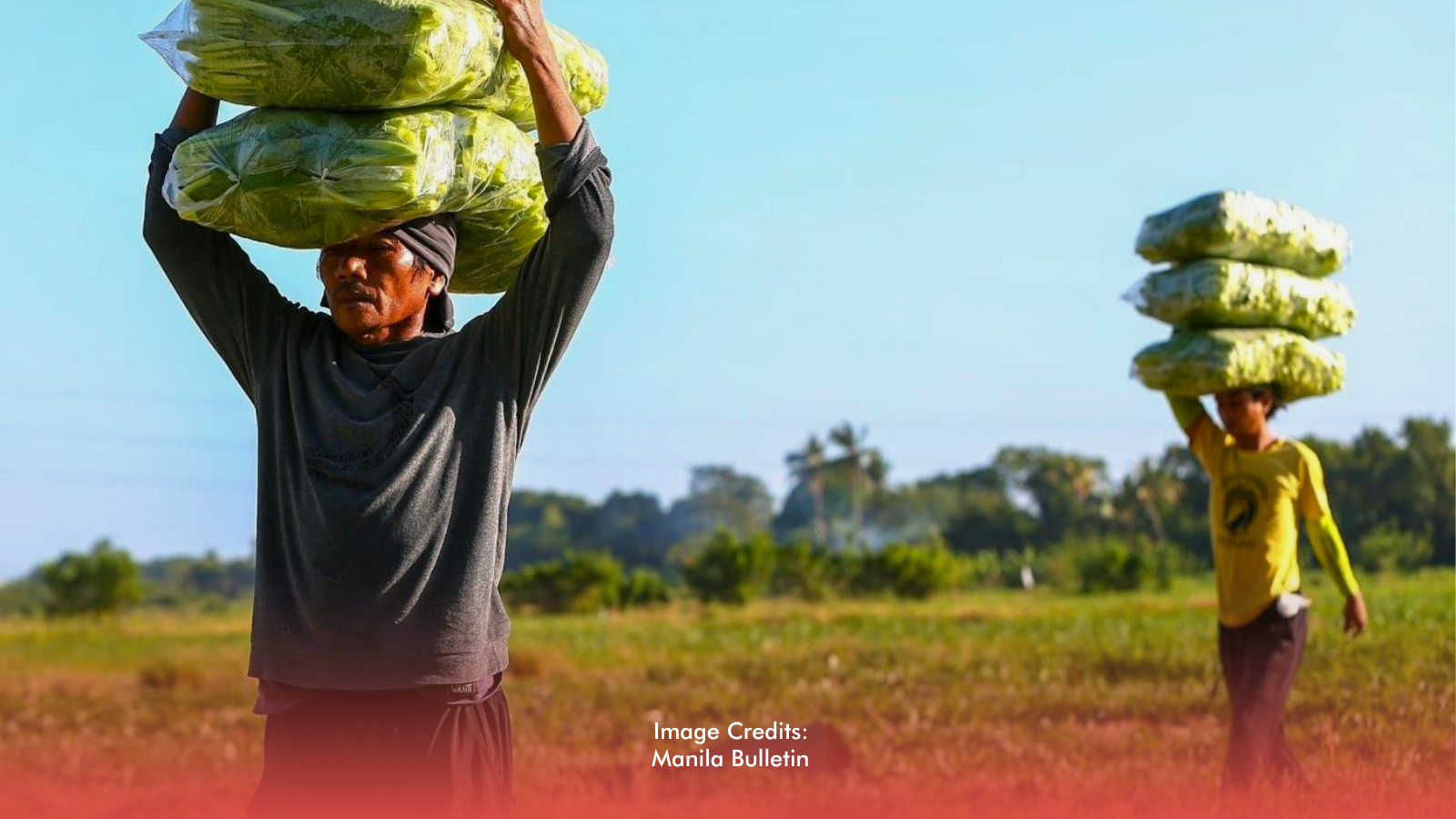 Senate Push Sagip Saka Act To Curb Agri Waste