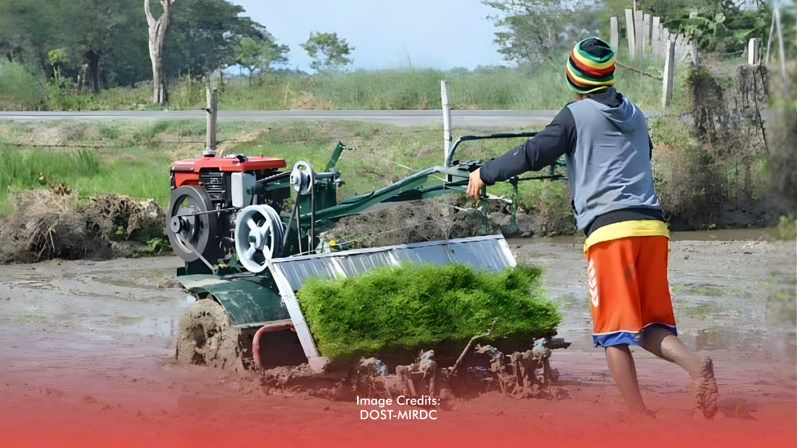 New DOST Rice Transplanter Boosts Productivity, Slashes Farm Labor Needs