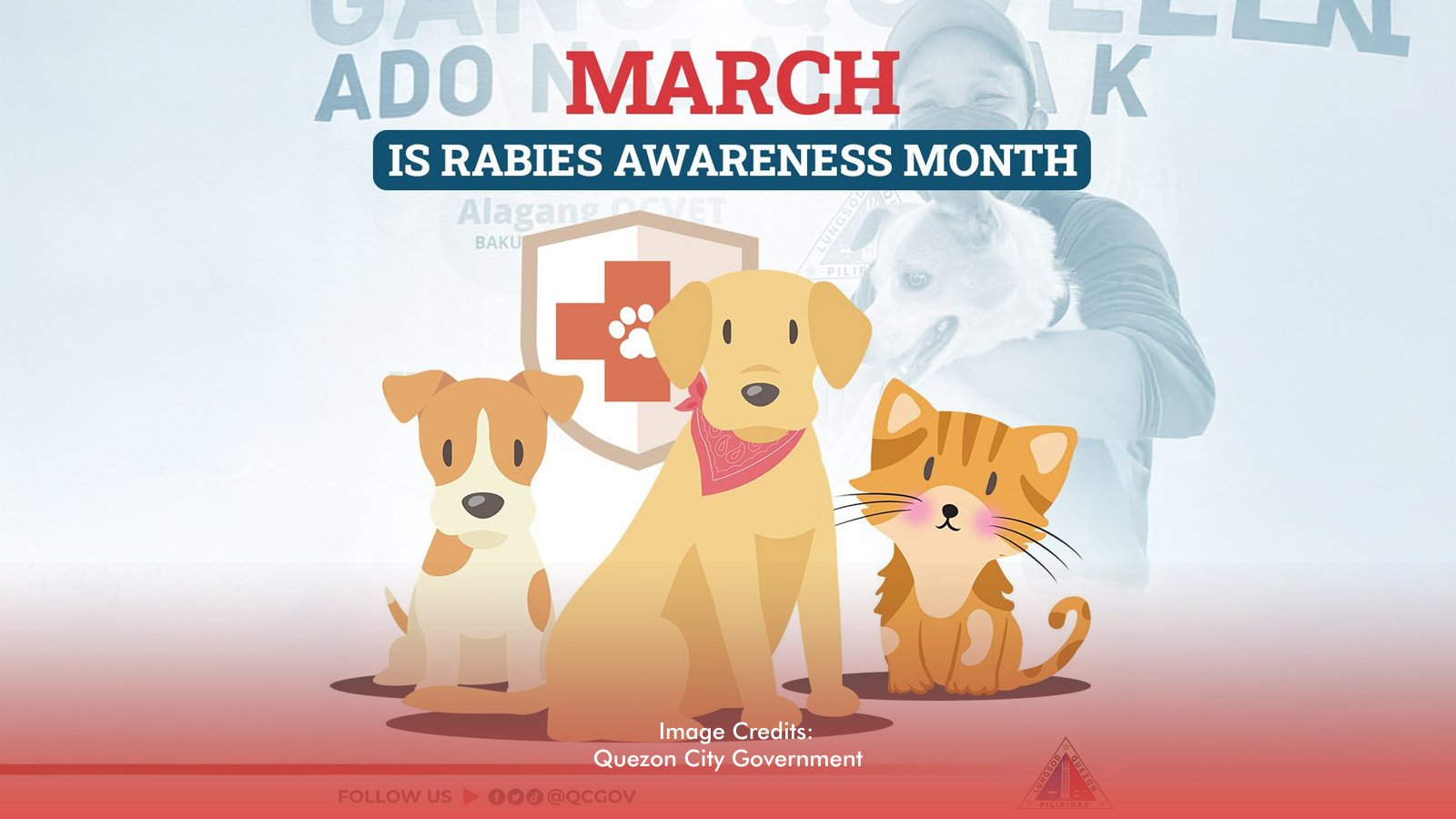 Rabies Awareness Month Highlights Urgent Need For Vaccination, Responsible Pet Ownership
