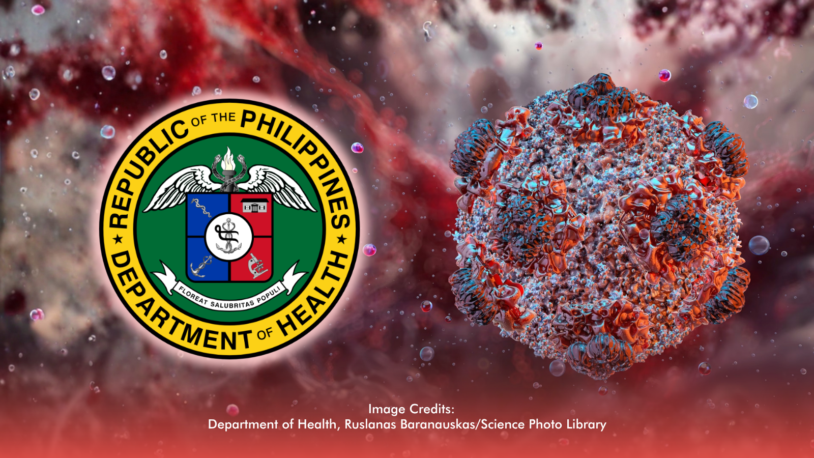DOH Monitors Hantavirus Threat, Activates Border Controls