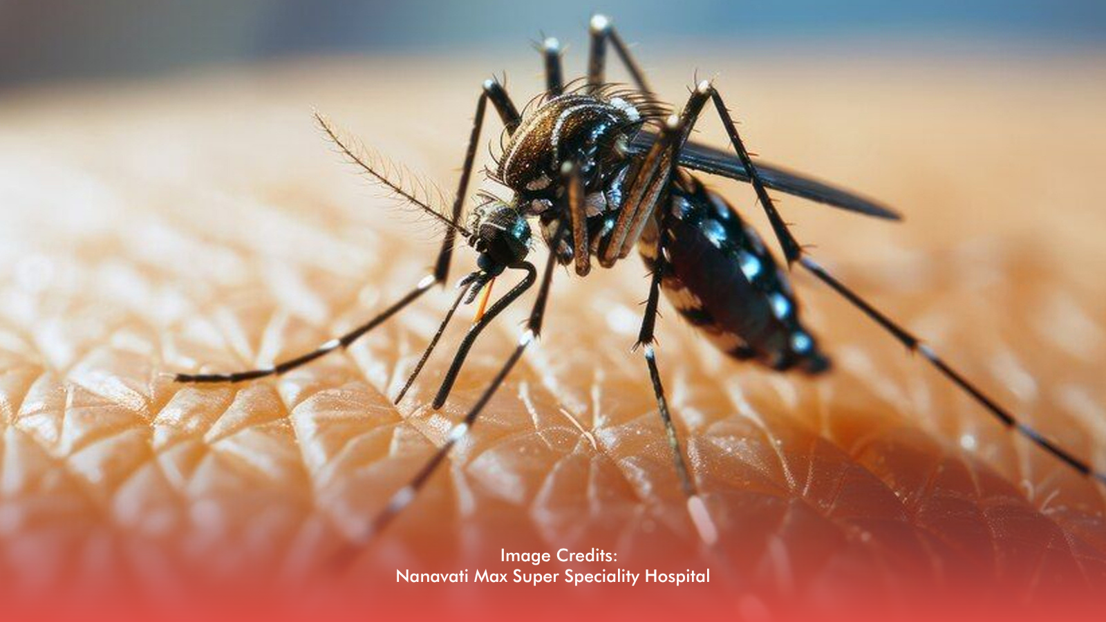 Dengue Cases Fall By 56% In First Five Months Of 2026 - DOH