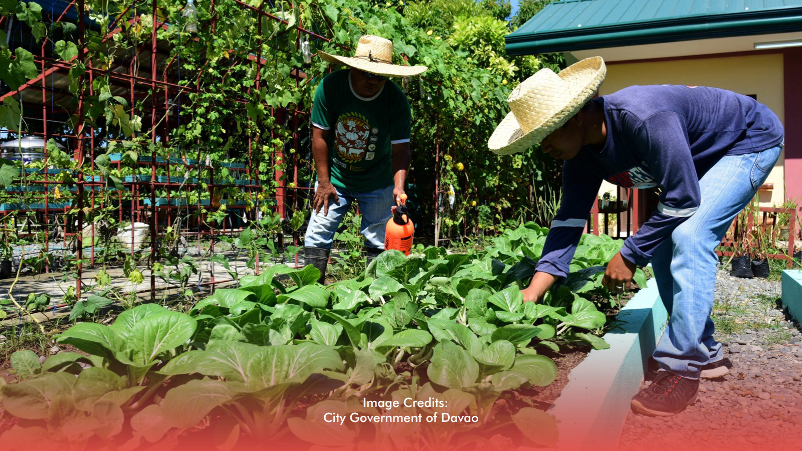 National Nutrition Month 2026 encourages Filipino families to grow their own food through backyard farming.