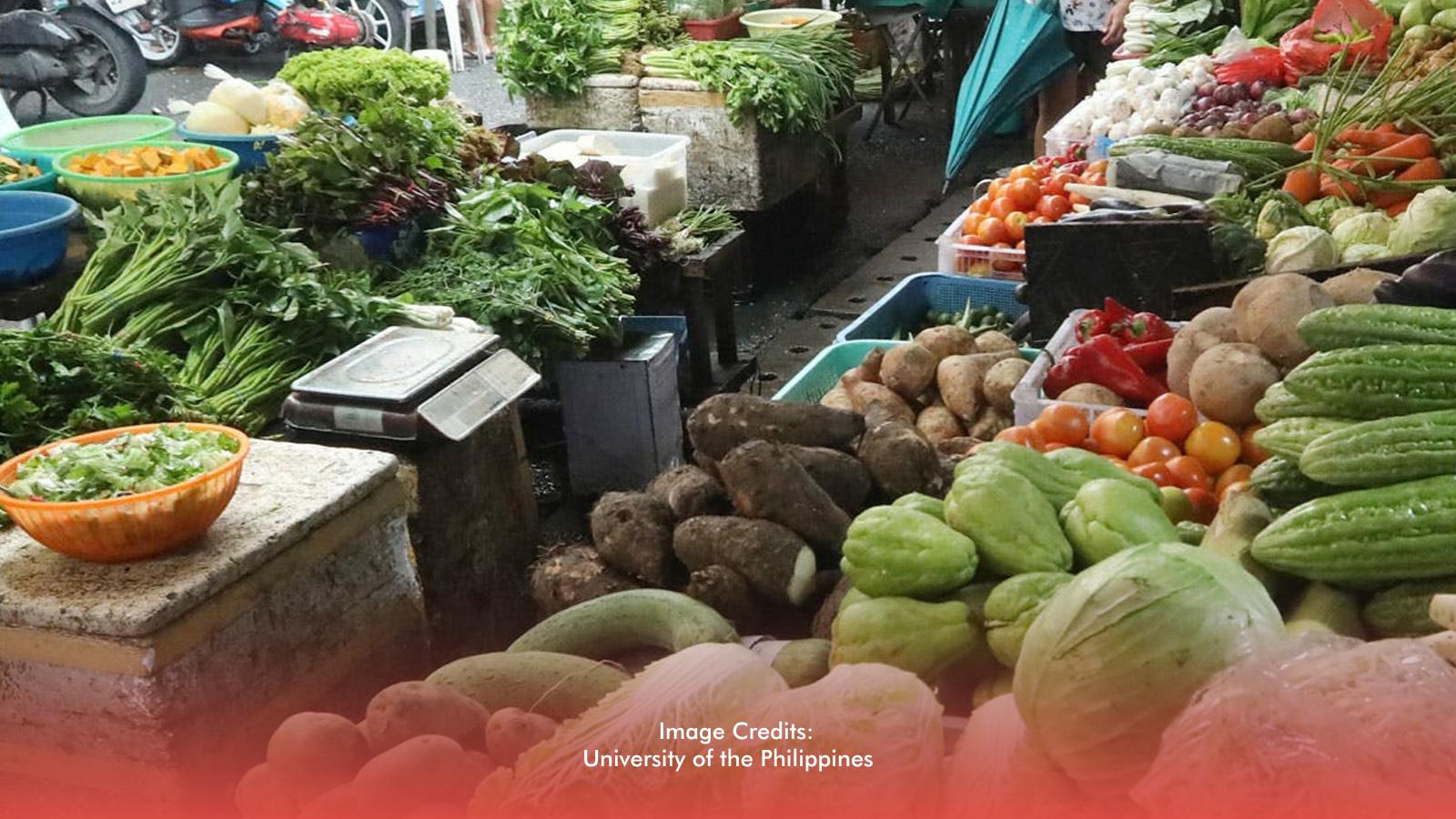 Monsoon Rains Disrupt Food Supply, Raise Market Prices