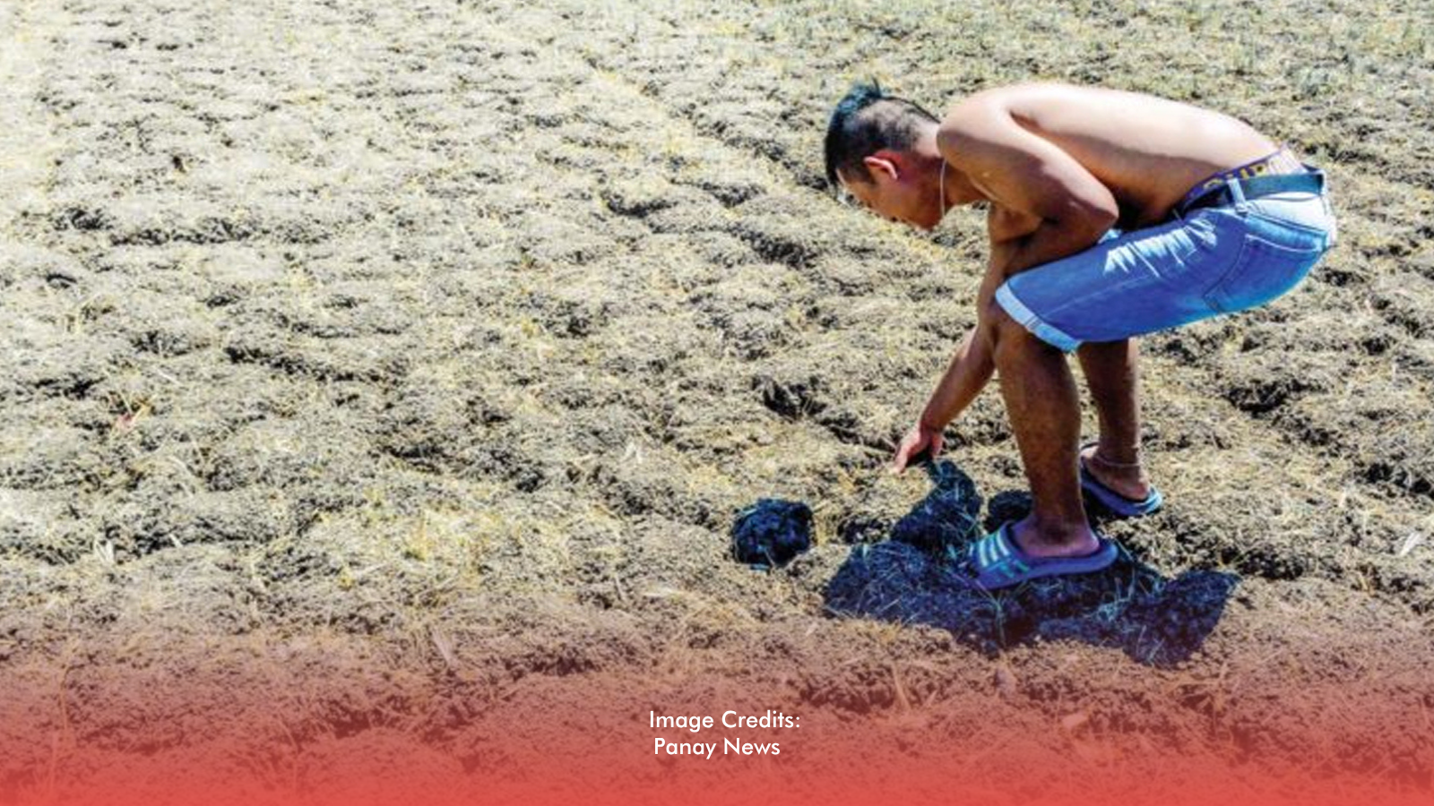 733,000 Families at Risk: Western Visayas Goes on Blue Alert Ahead of El Niño