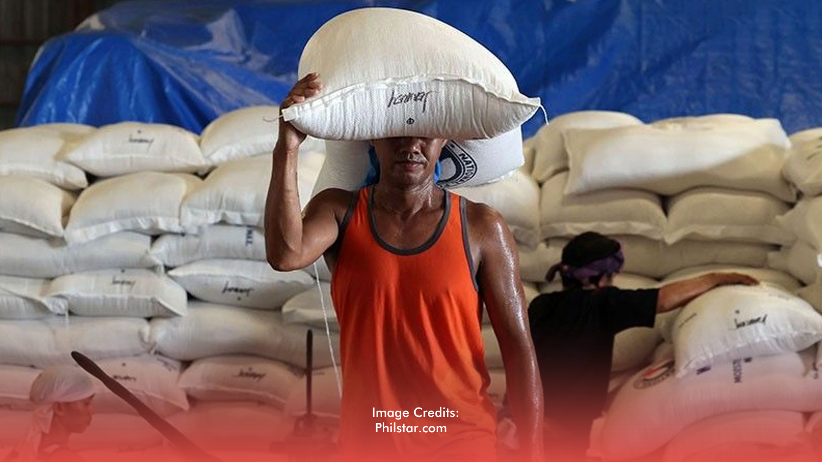 NFA: US Rice Import Deal Is Private, But Imports Still Needed to Avoid Food Insecurity