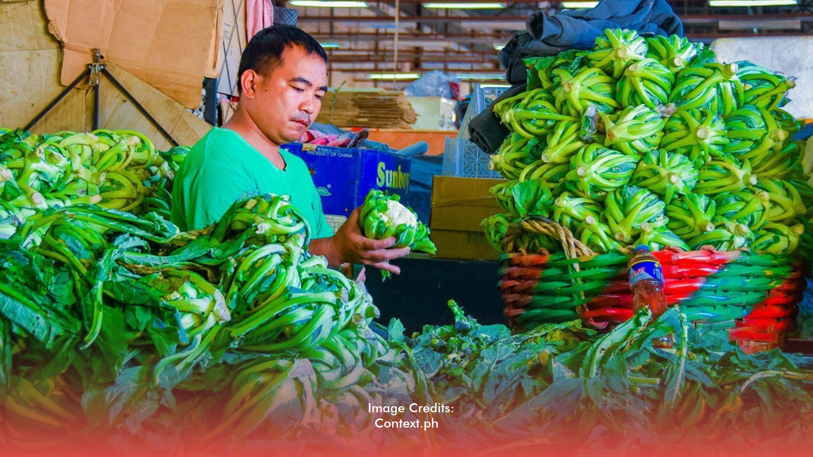 Smuggled Vegetables Slip Into PH Amid Lack of Border Inspection Facilities